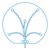 correge_image_icone_wafer